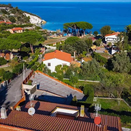 Padulella *