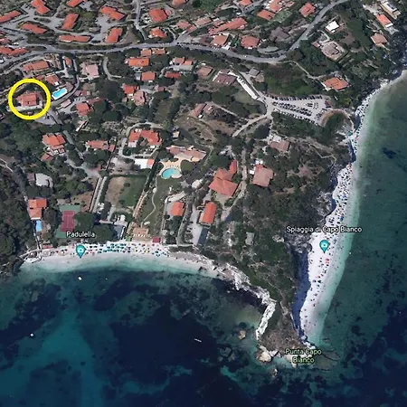 Padulella